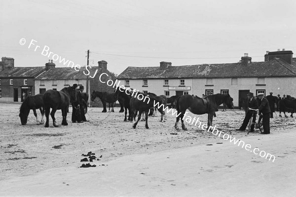 FAIR SCENE  HORSES